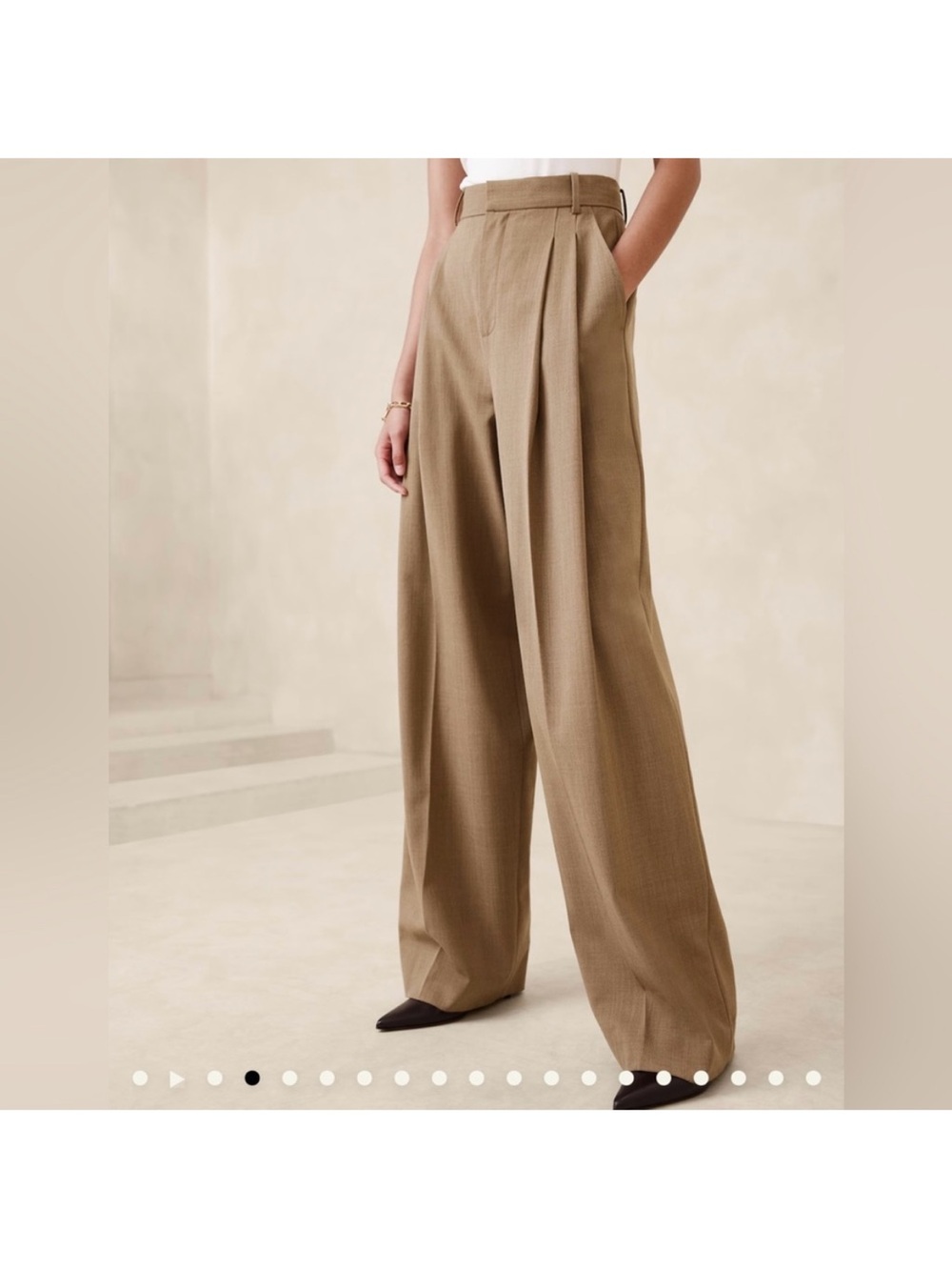 Banana Republic Siena High-Waist Wide-Leg Pleated Pants in Camel - Picture 2 of 4